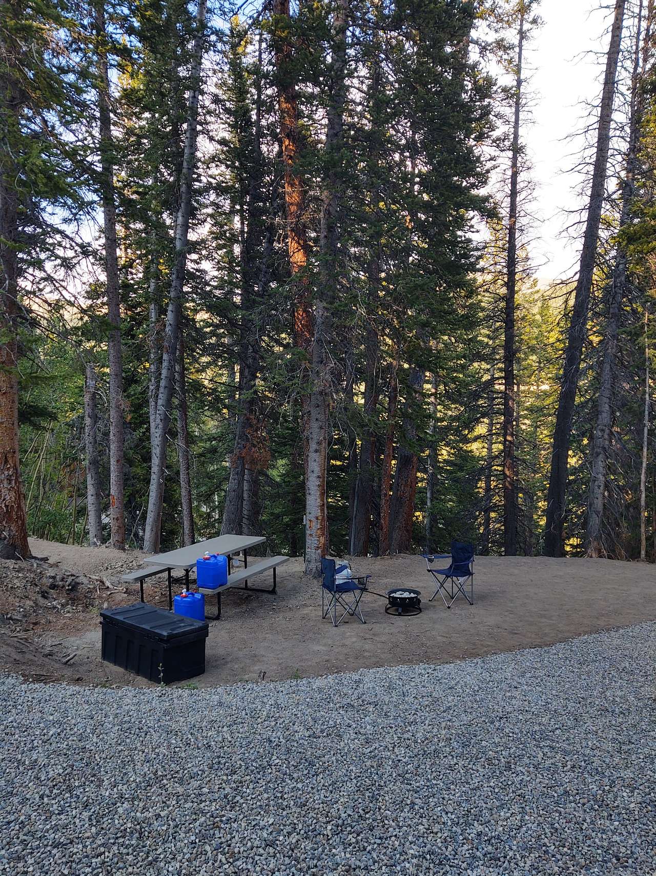 Campsite D