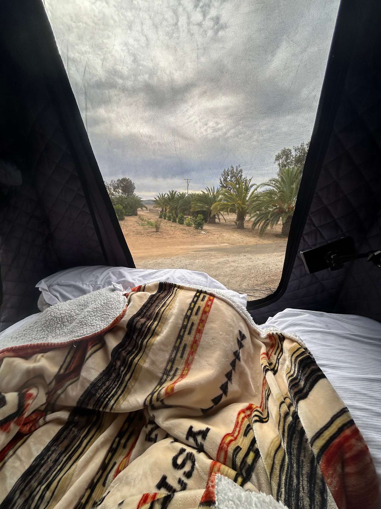 Good morning from my penthouse (aka roof top tent) 