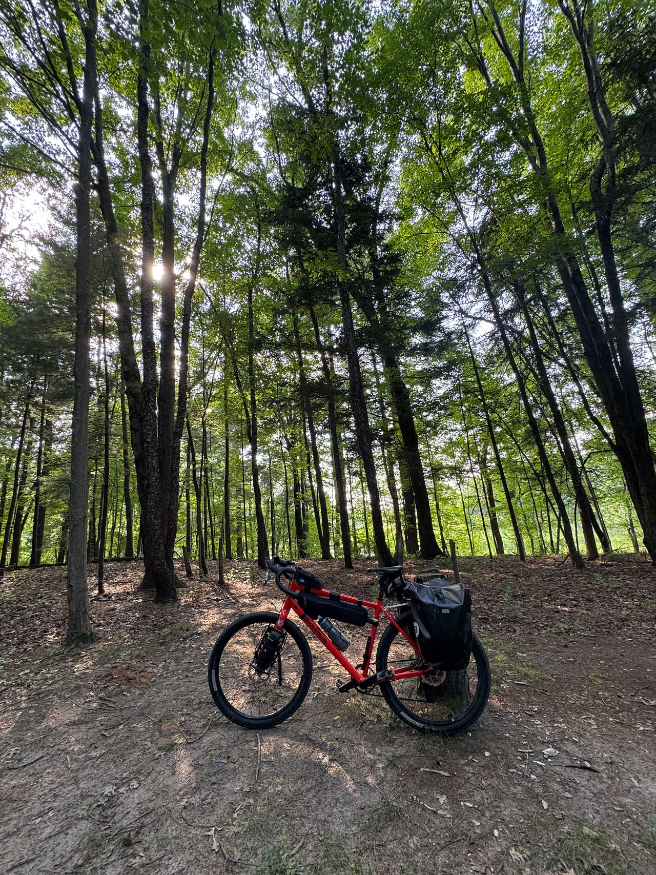 Mulligan's Valley in the Woods