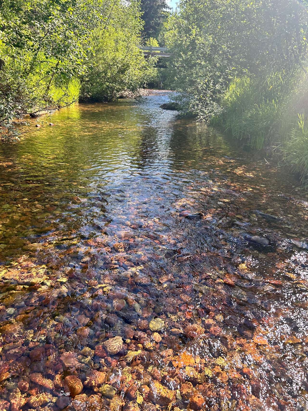 Buck’s Paradise