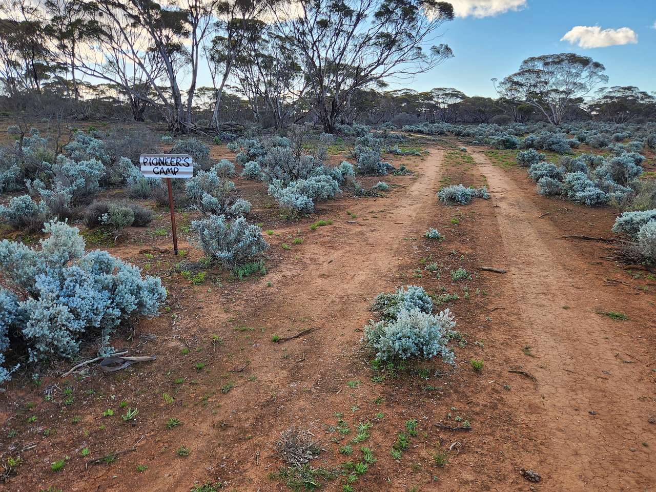 Petticoat Bush Camp