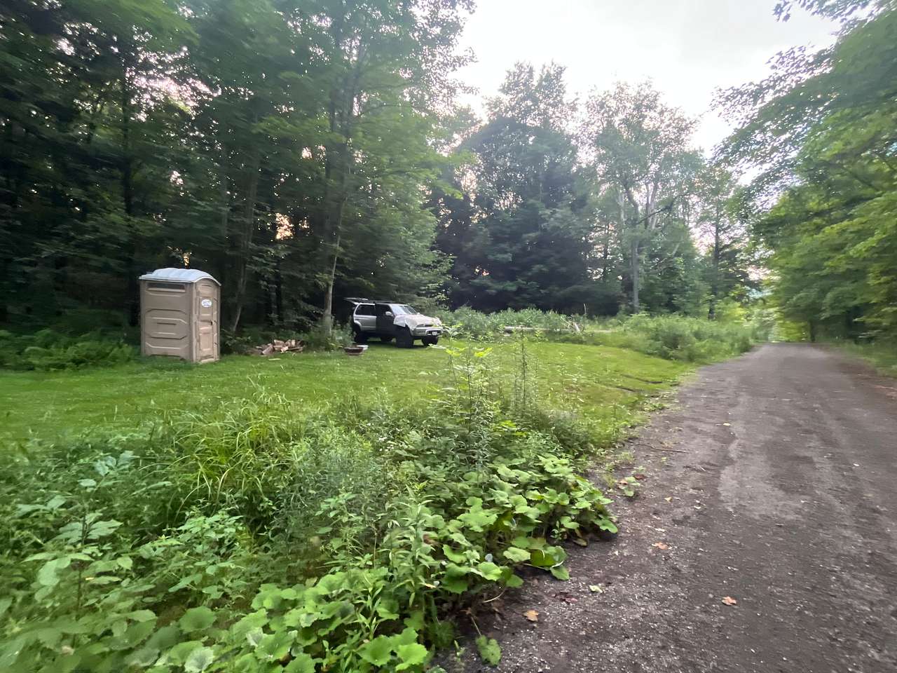 Picture of the site