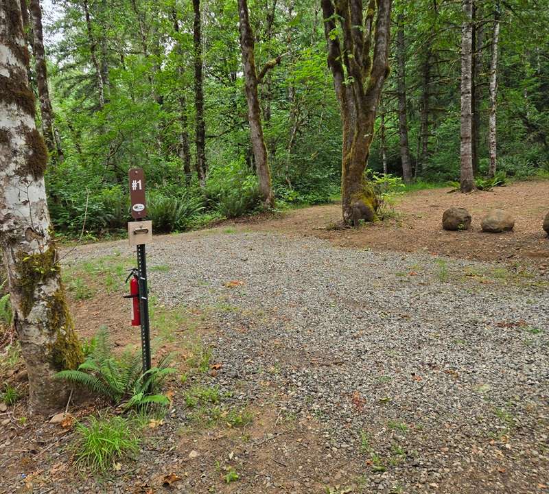 Picture of the site