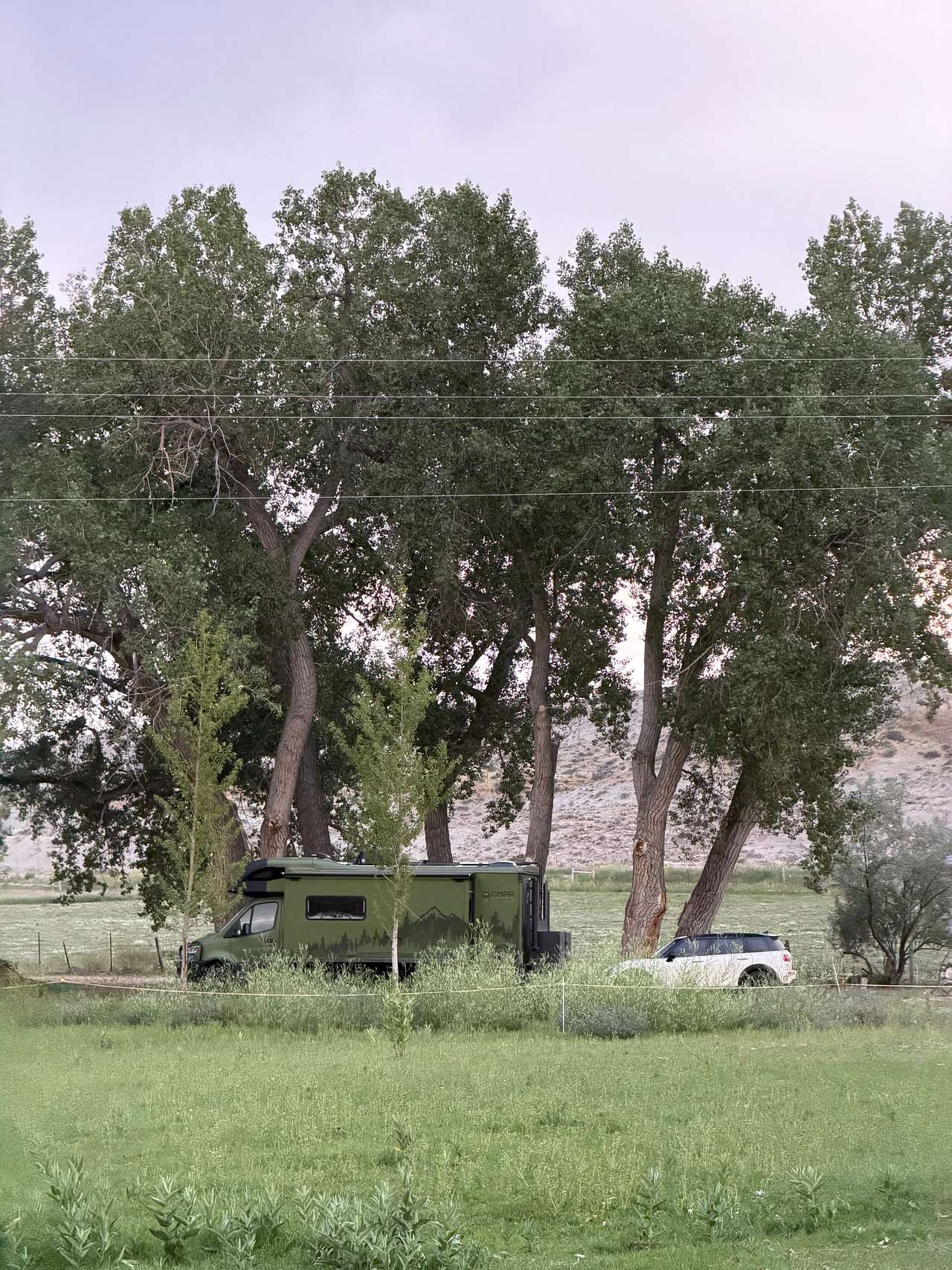 Picture of the site