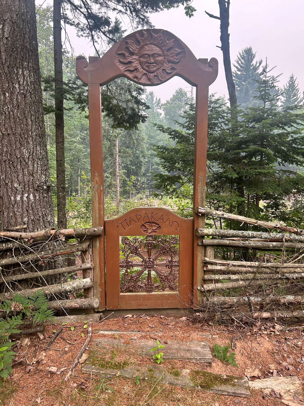 Bear Tree Homestead