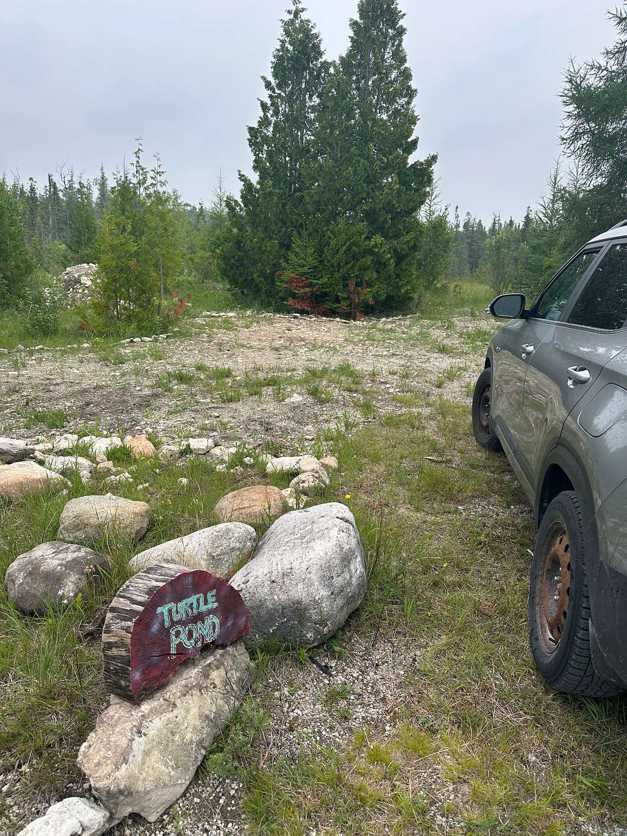 Little Pine Campsites