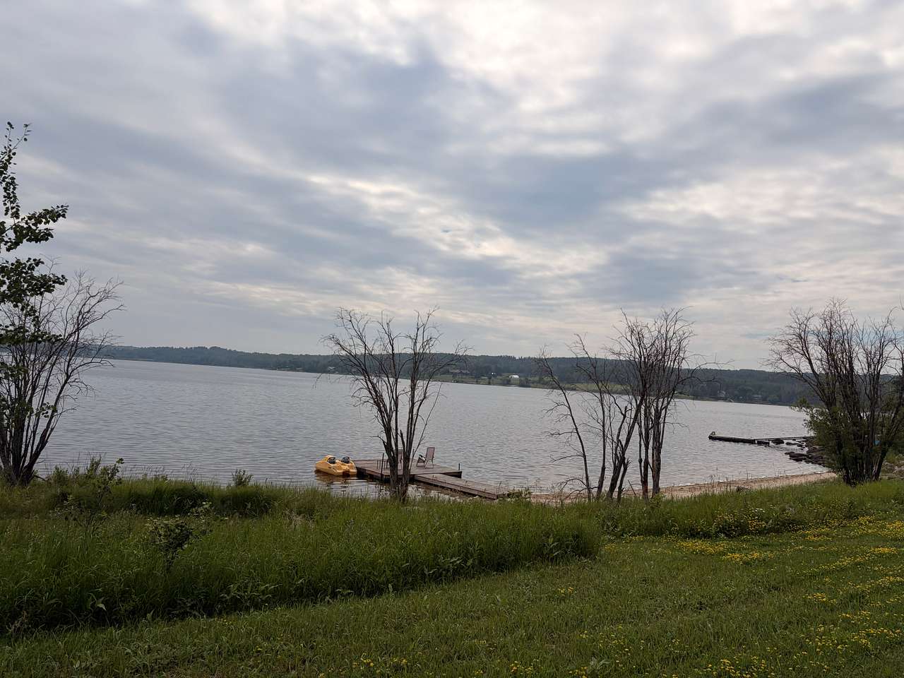 Muriel Lake Beach Field Forest