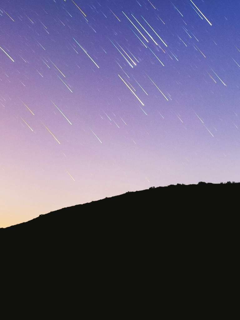 Perseids