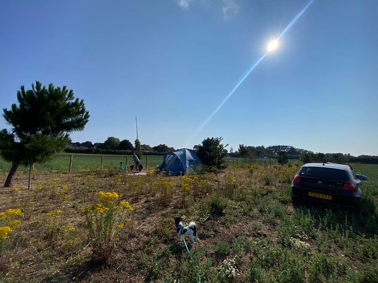 Picture of the site