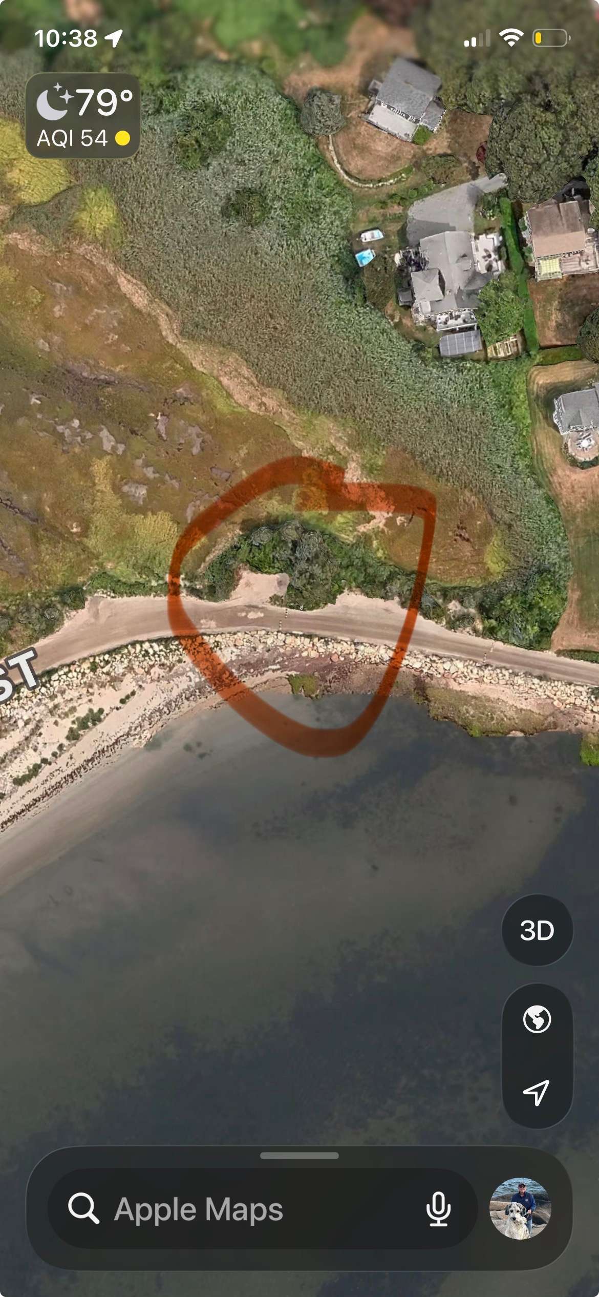 Picture of the site