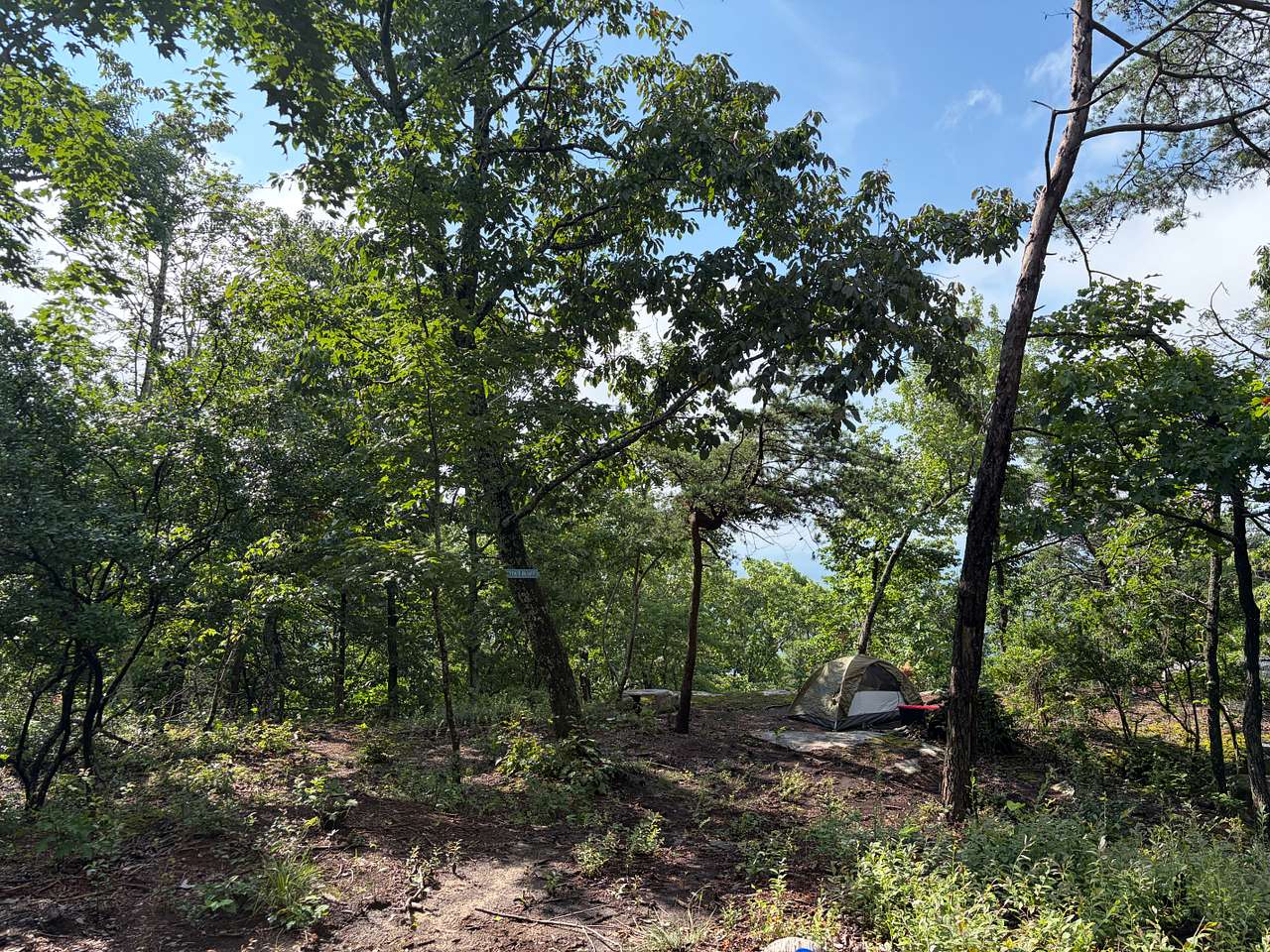 Picture of the site