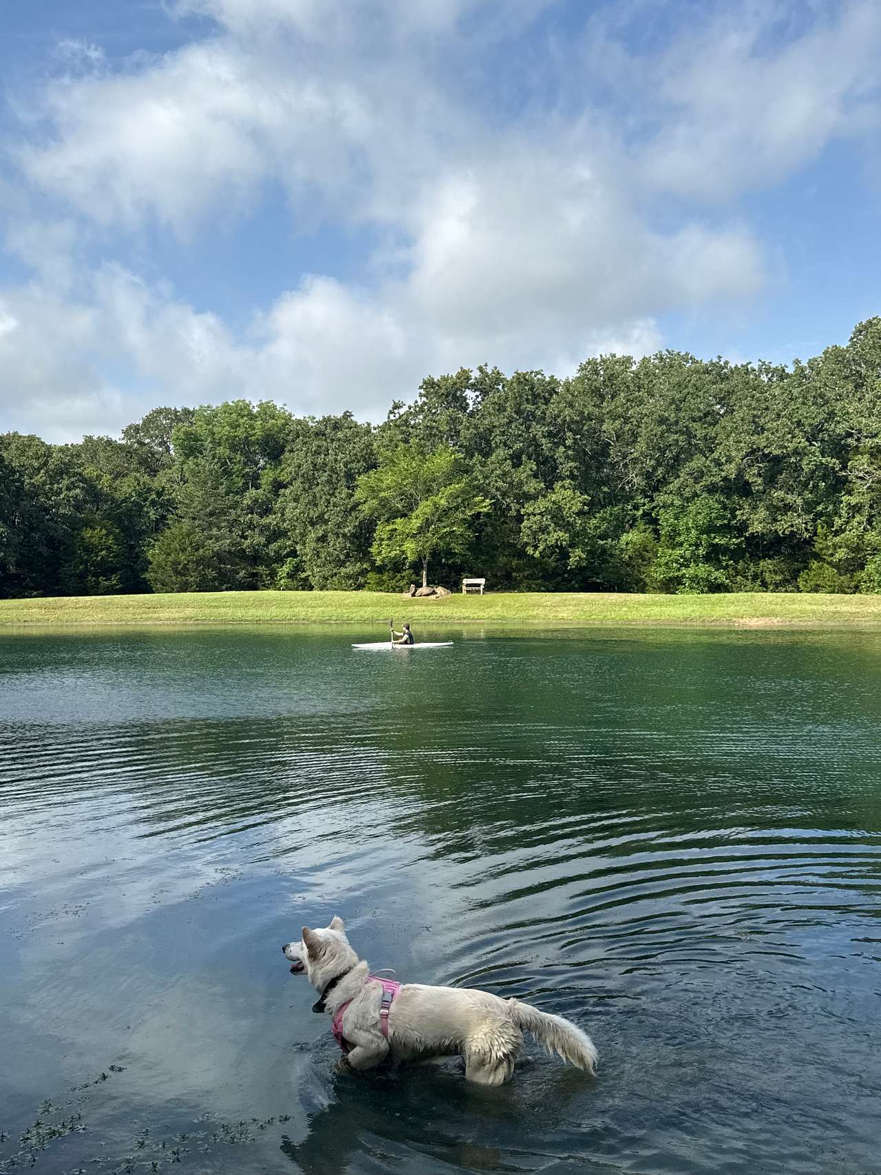 Texas Safari Camp