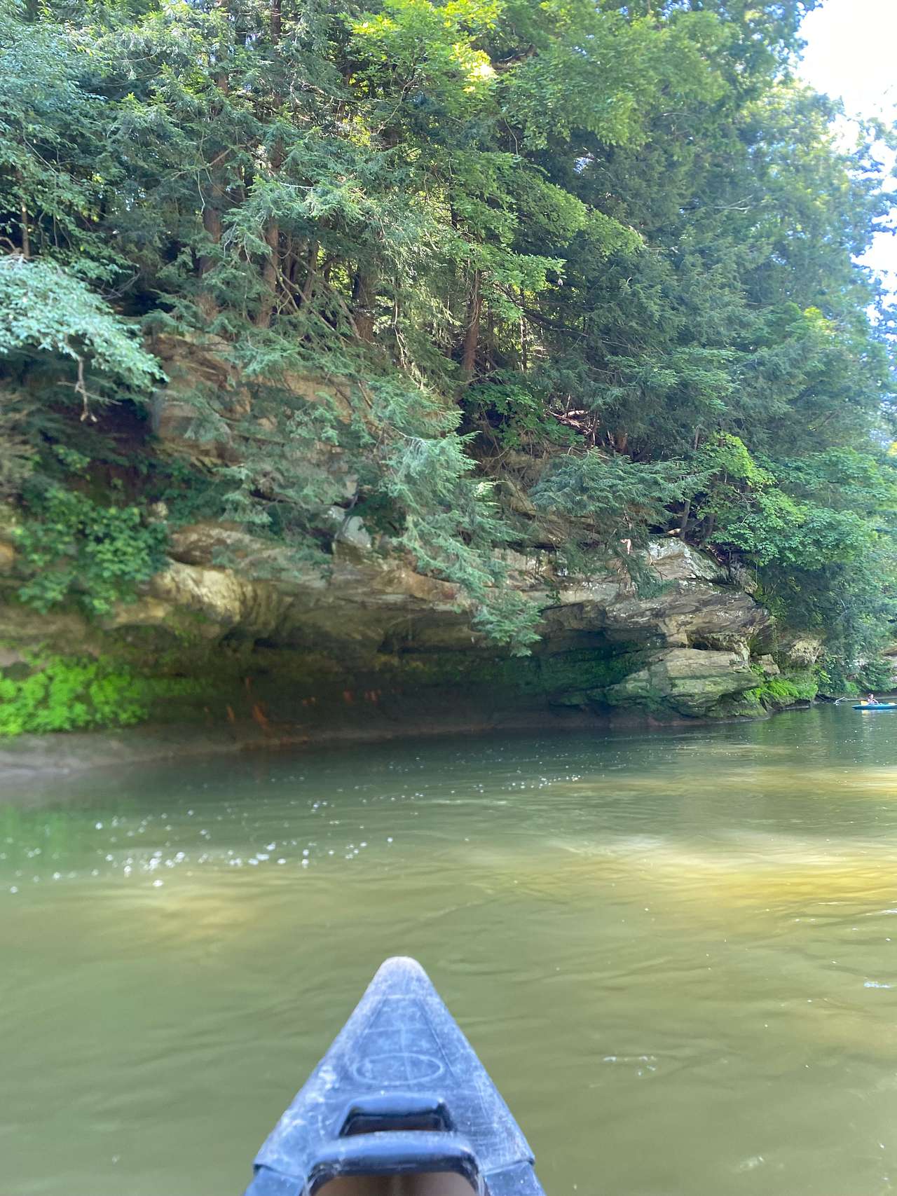 We spent the morning canoeing on Sugar Creek.