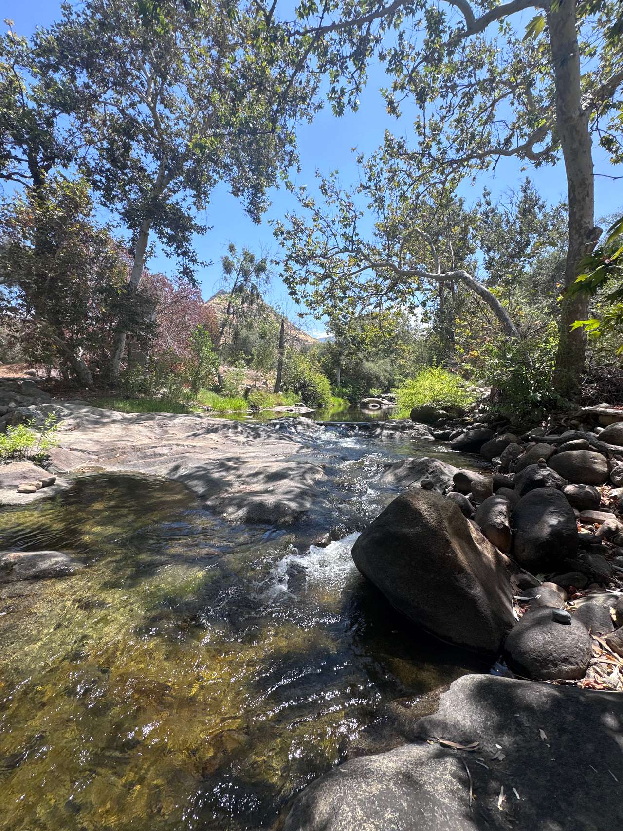 river view