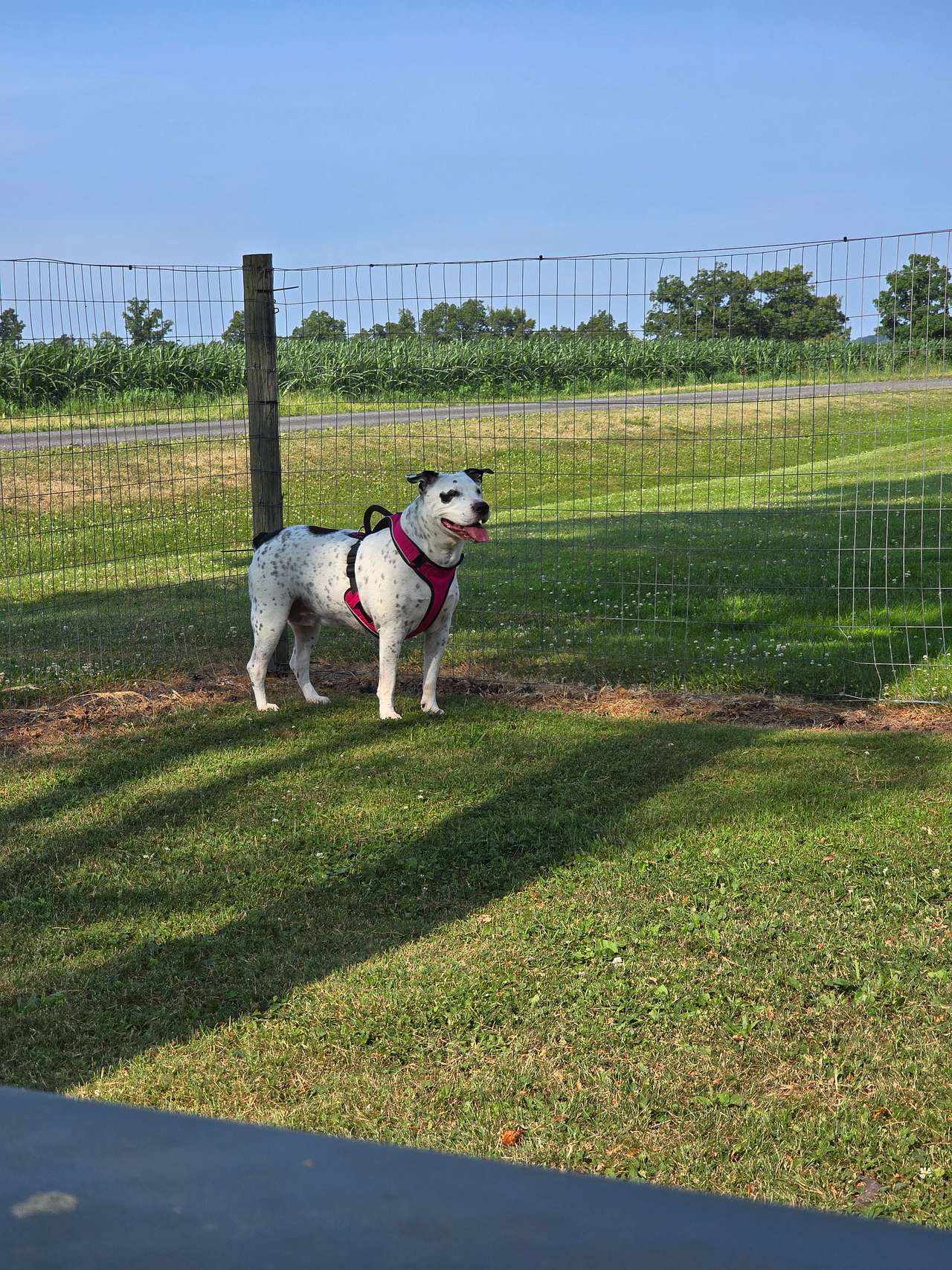 Country Charm Campground