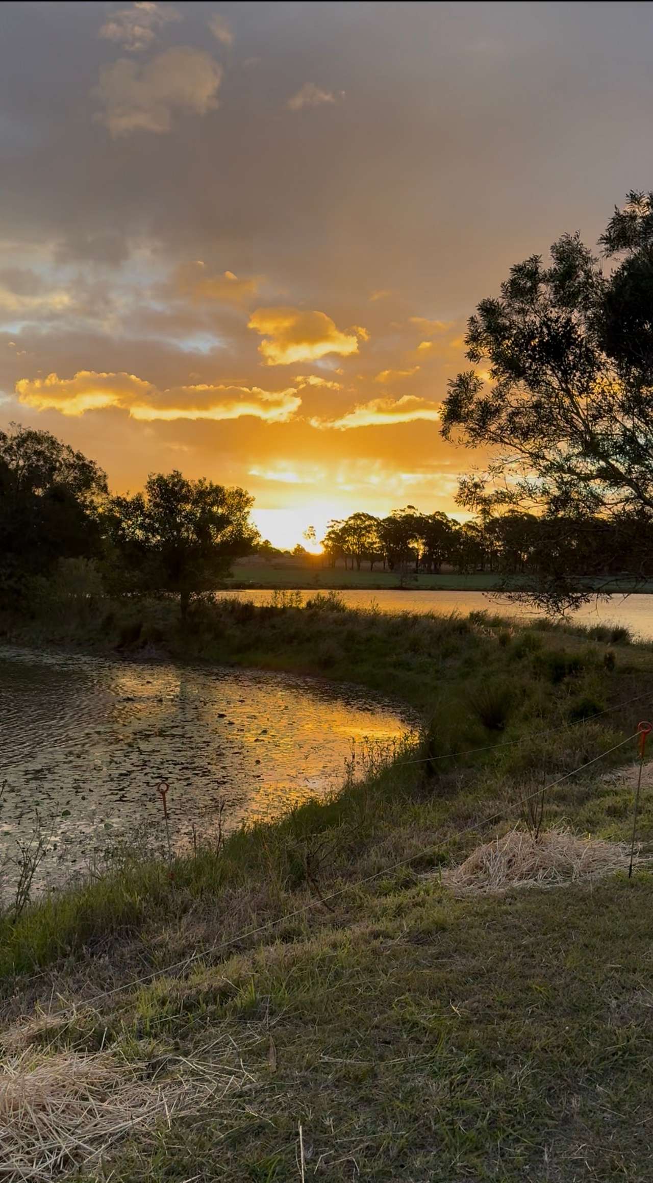 Lake Hagislea Farm