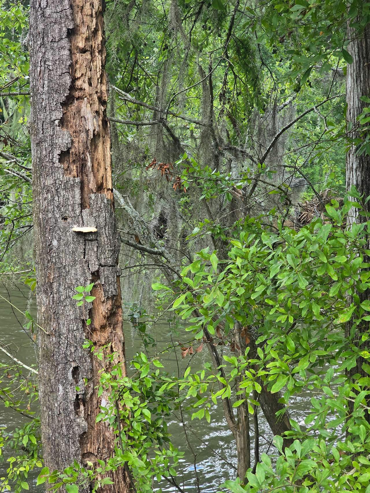 Sweetwater Daze River Camp
