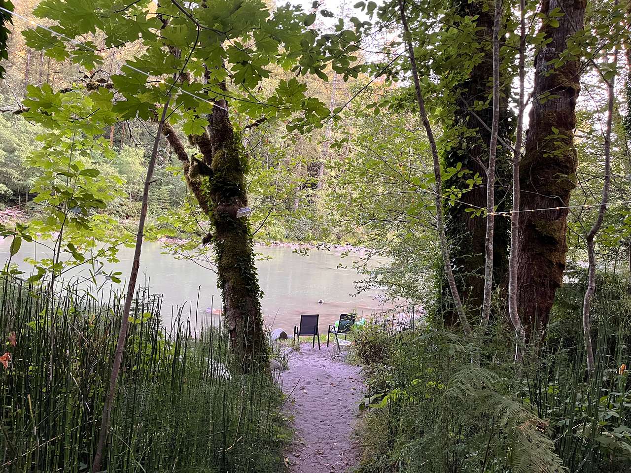 Mt. Hood Enchanted Forest