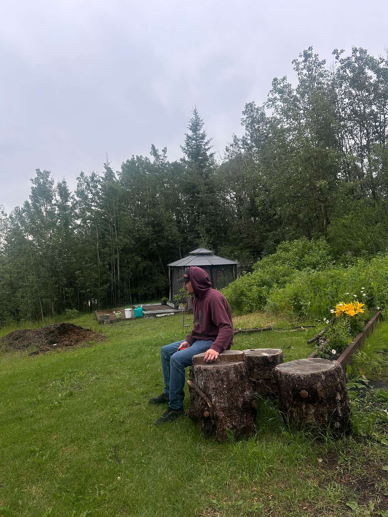 Ravens Valley Chickadee chalet