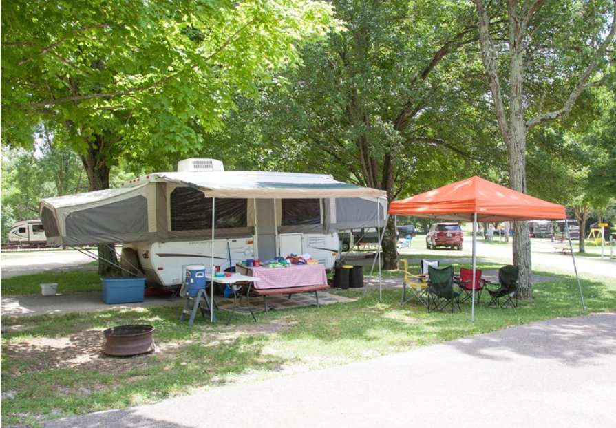 Picture of the site