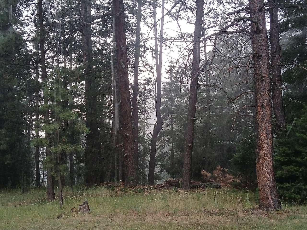 View fron tent