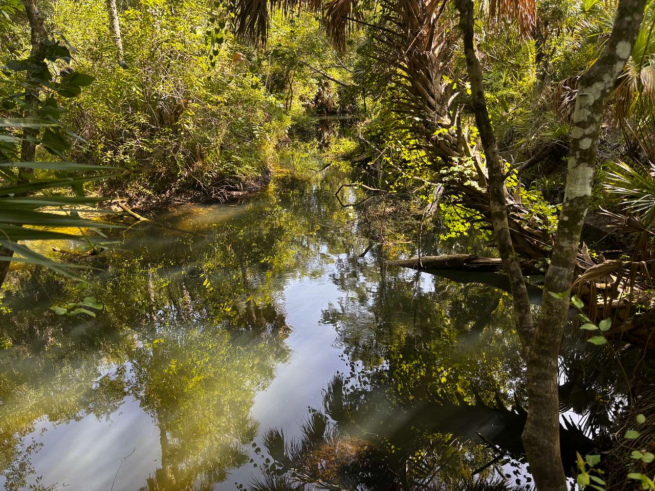 Cotee River Bend