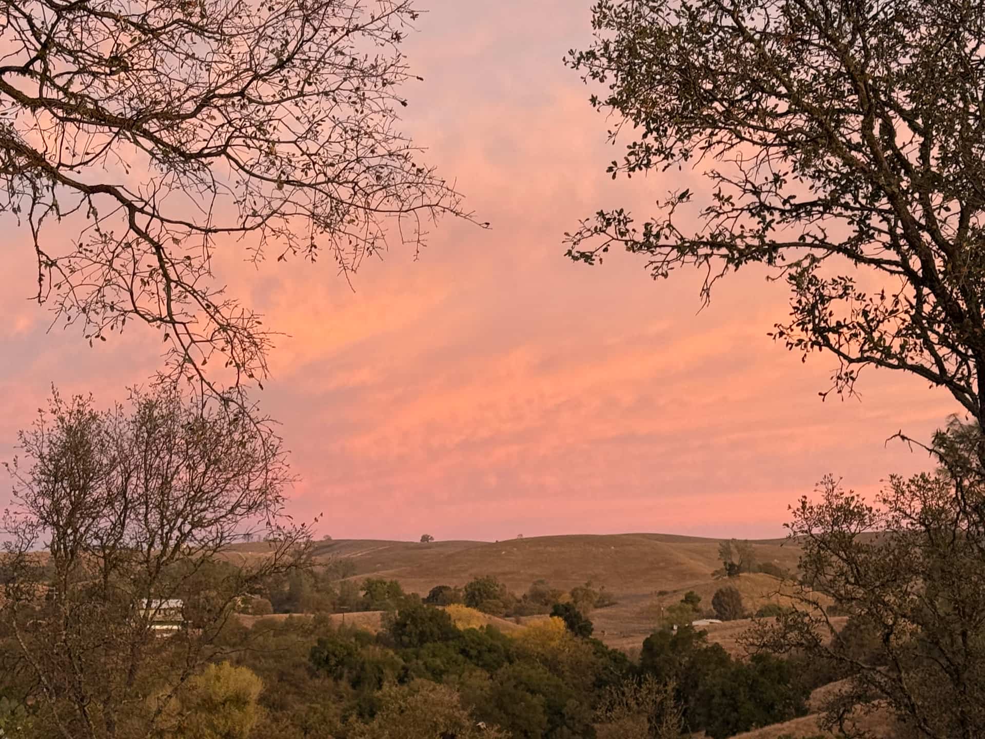 Rancho de los Robles