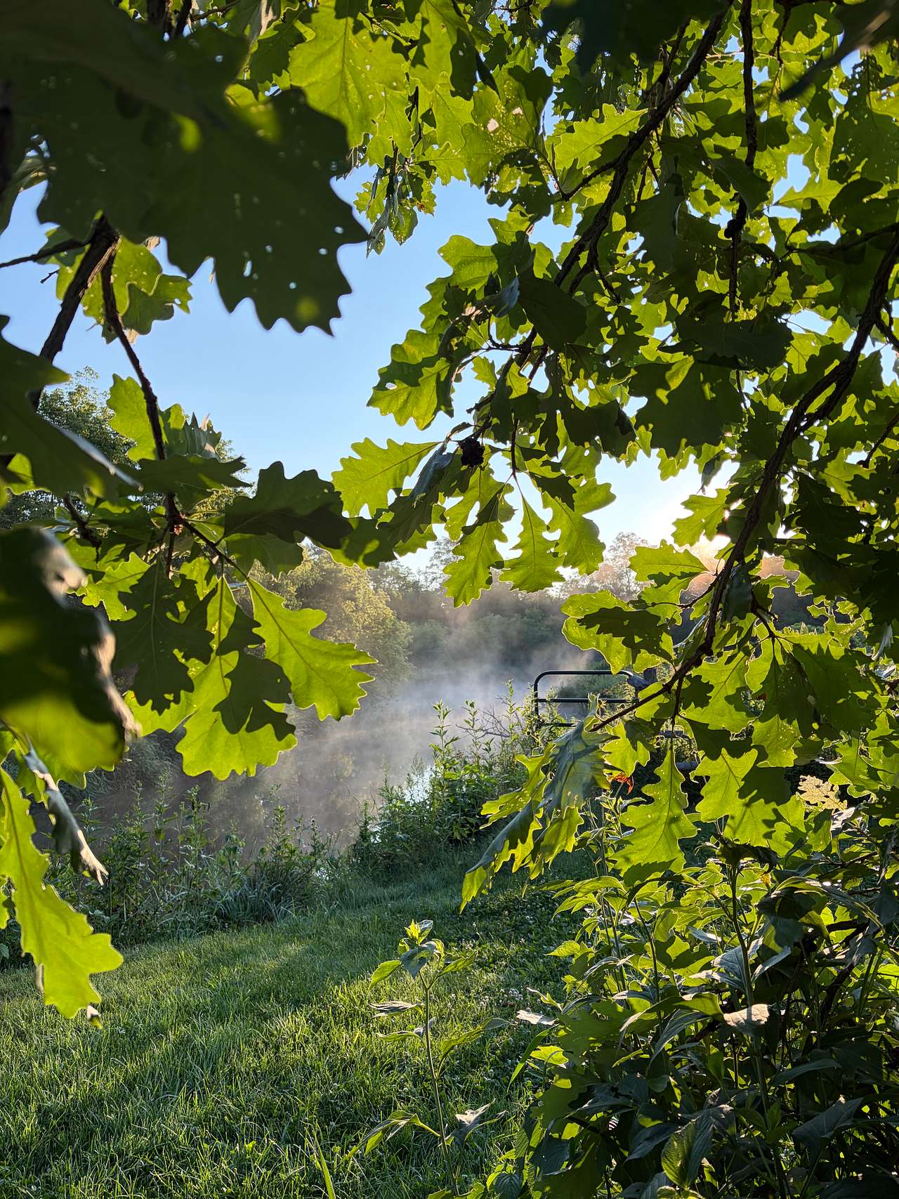 Pink River Ranch in the Driftless