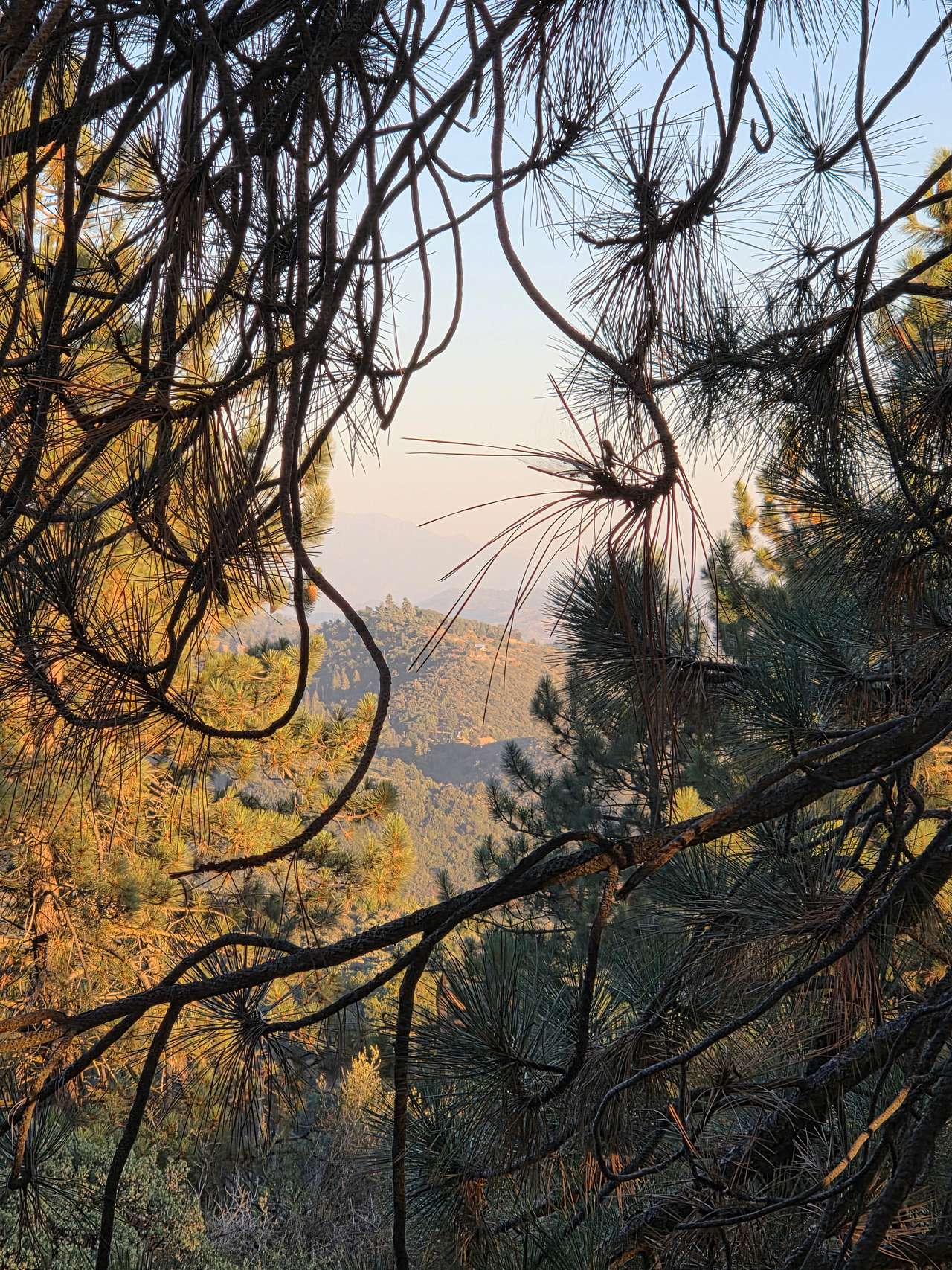 View of the valley
