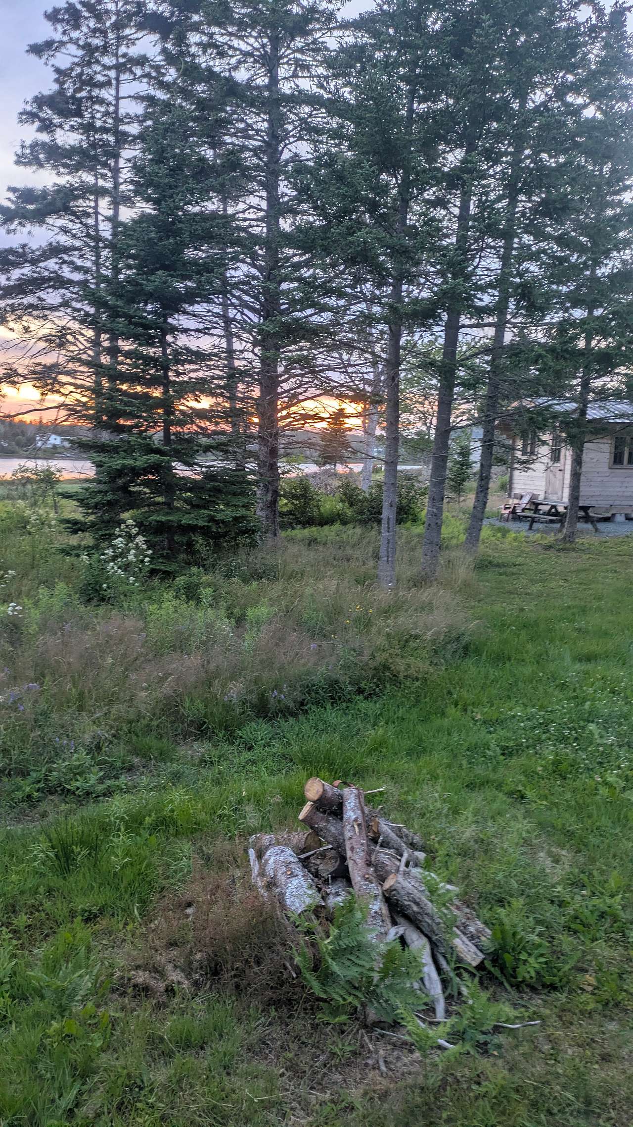 Wild Islands Camping by the Sea