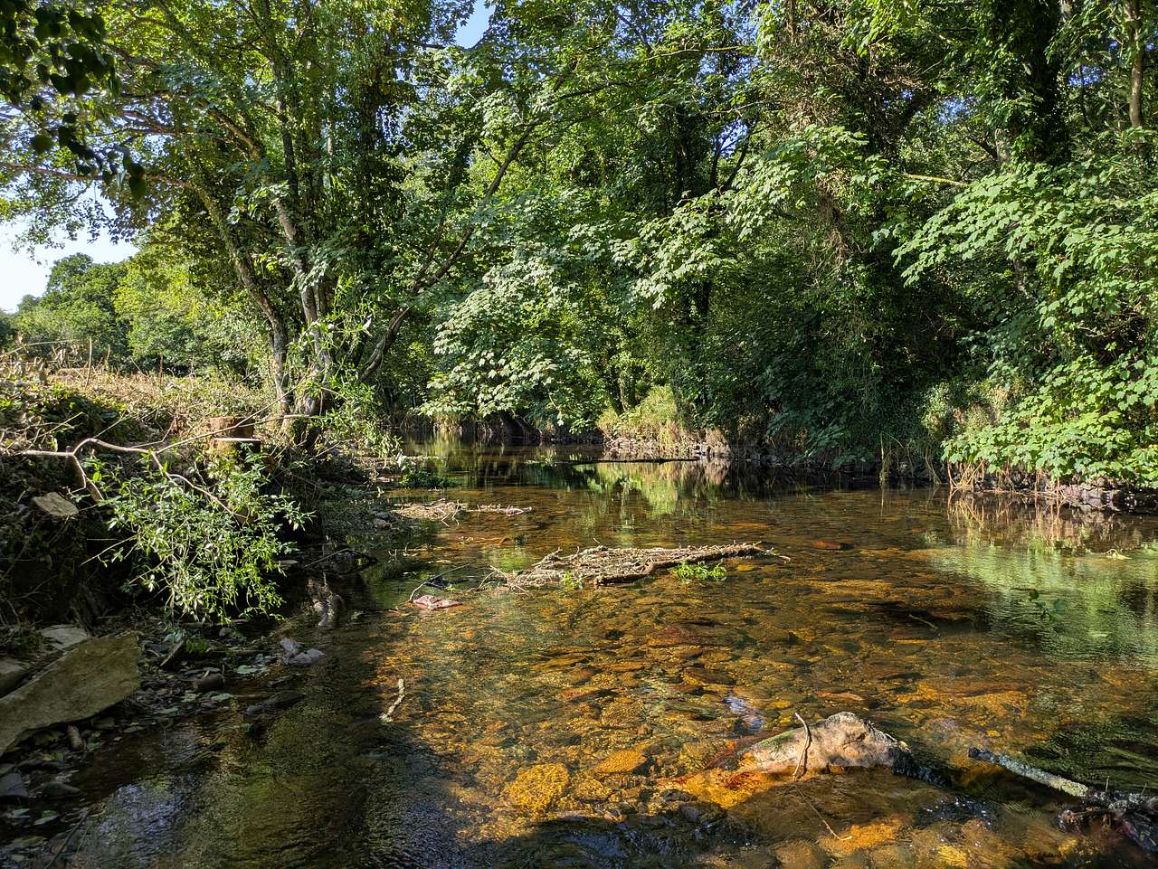 WILDSWIM2SAUNA