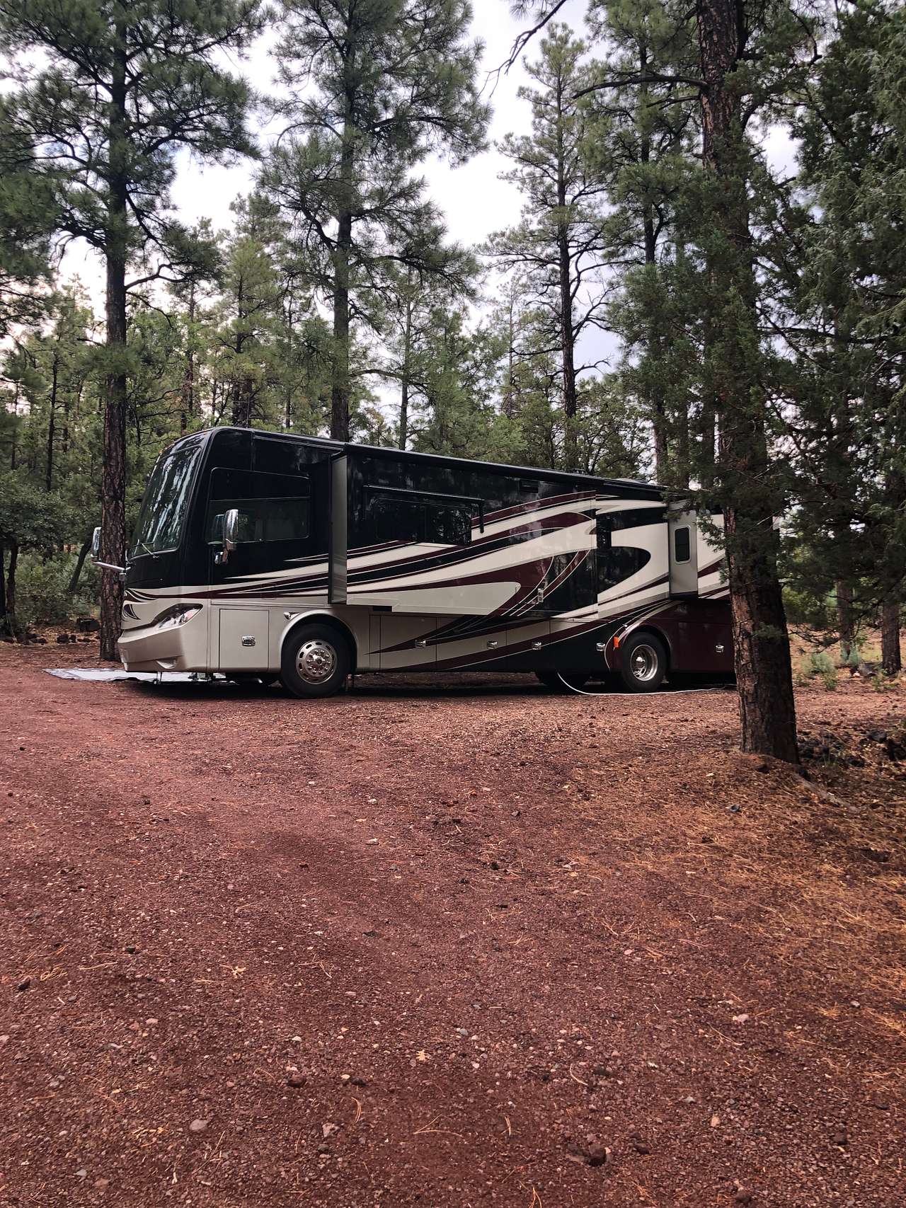 Elk Run - Show Low