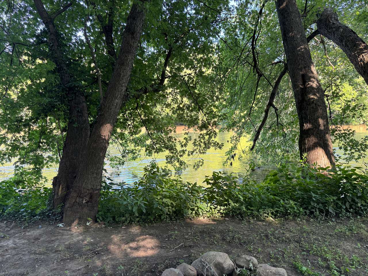 Riverwood Camp And Paddle