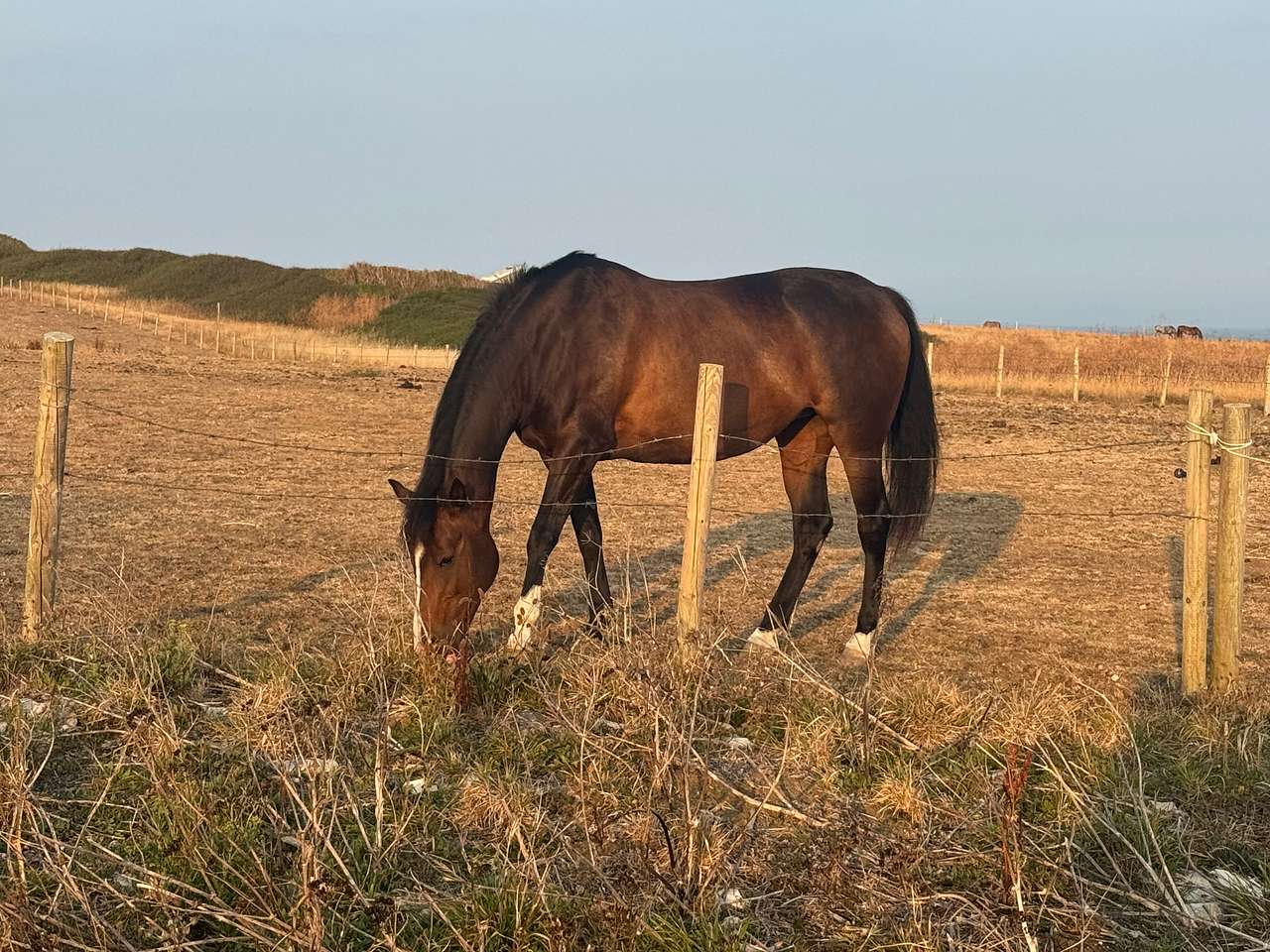 Sweet Hill Farm
