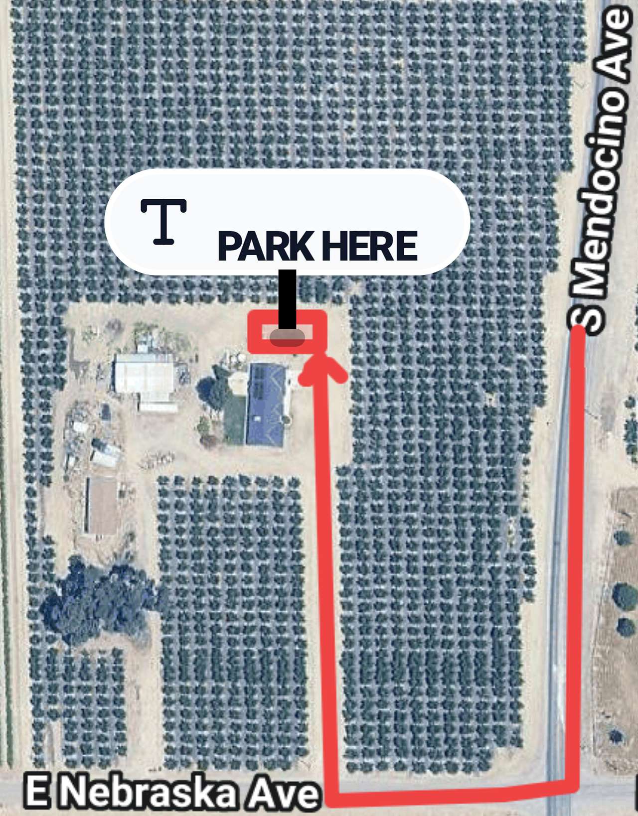 Picture of the site