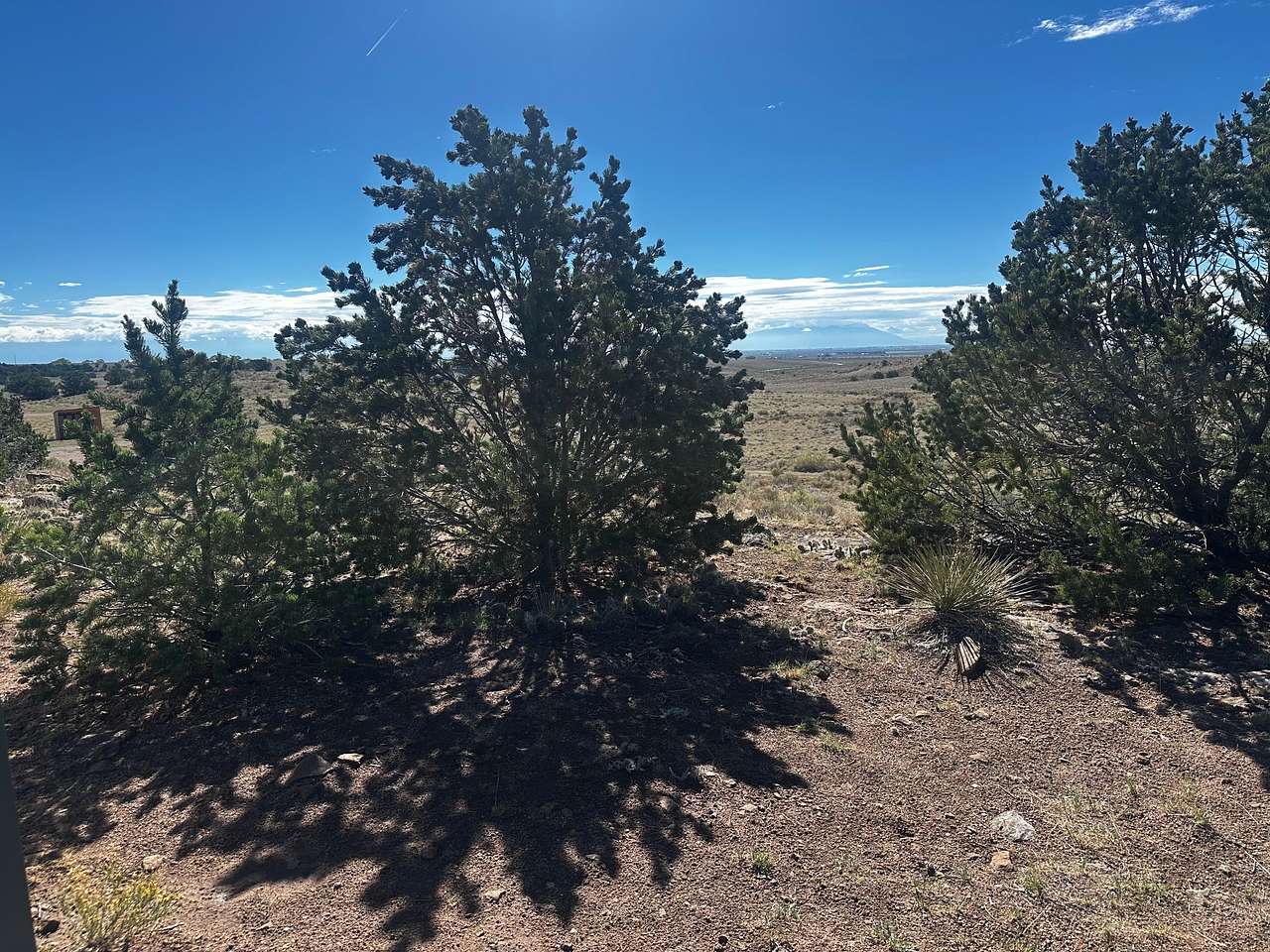 View from porch at Conejos cabin