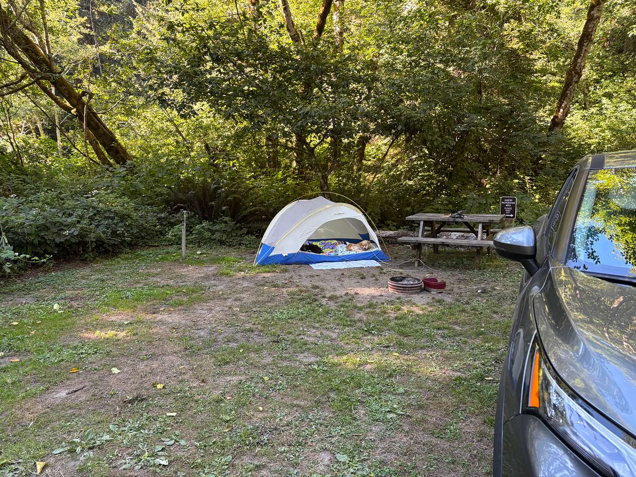 Picture of the site