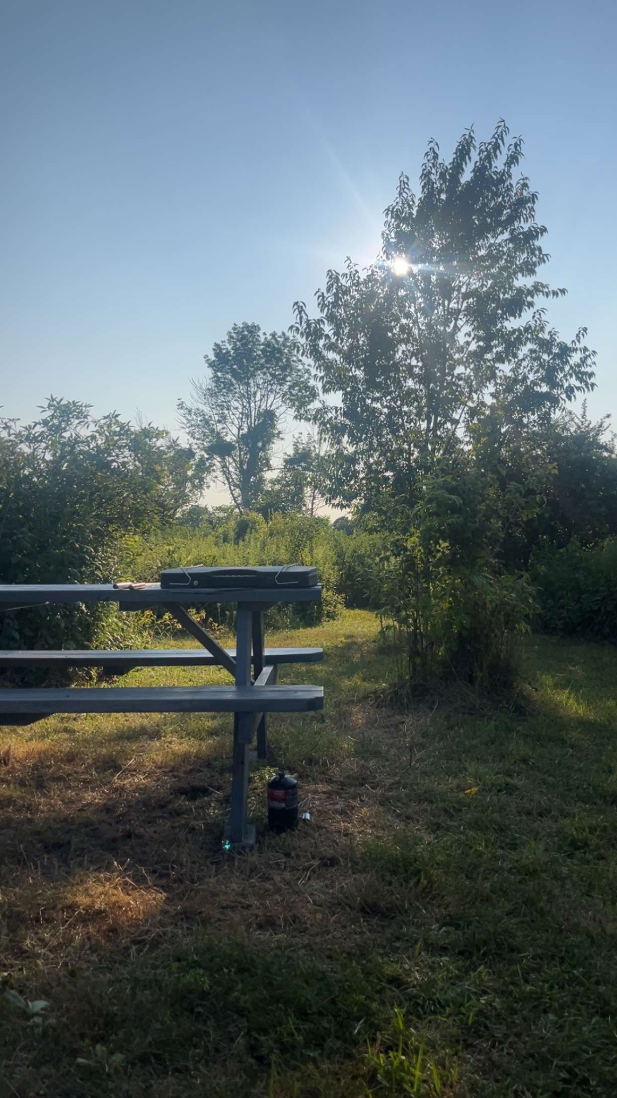 Picture of the site