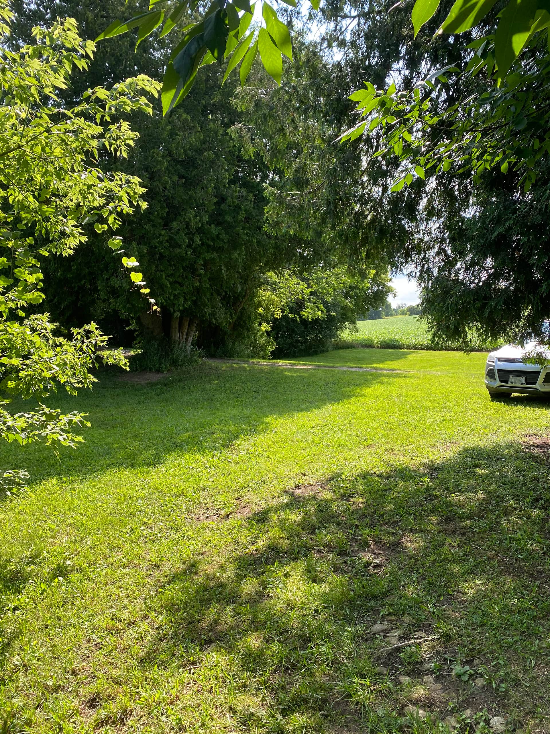 Picture of the site