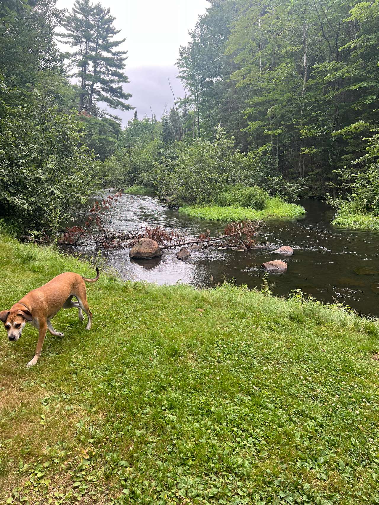 Peaceful, Country Camper