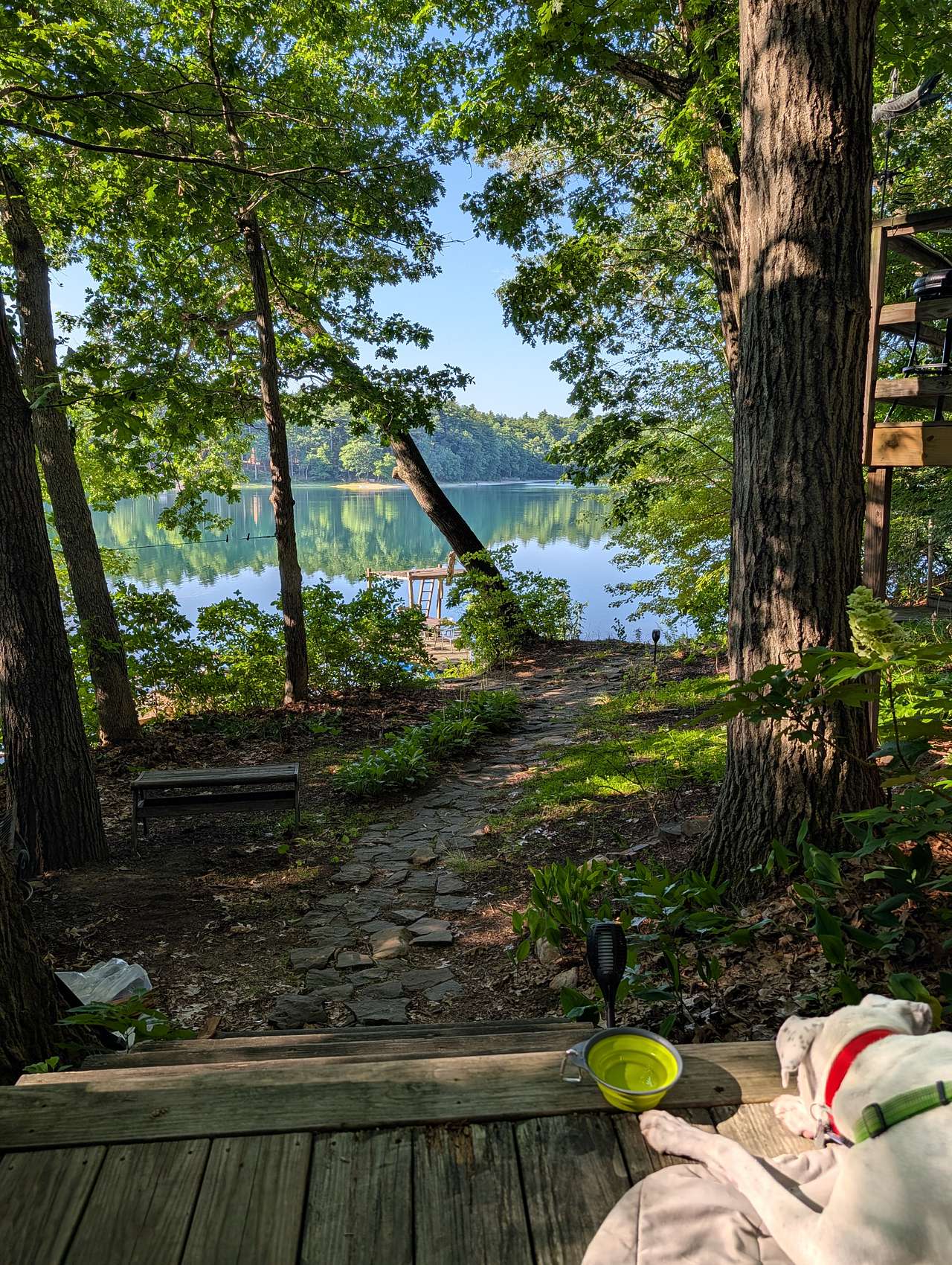 View from the site