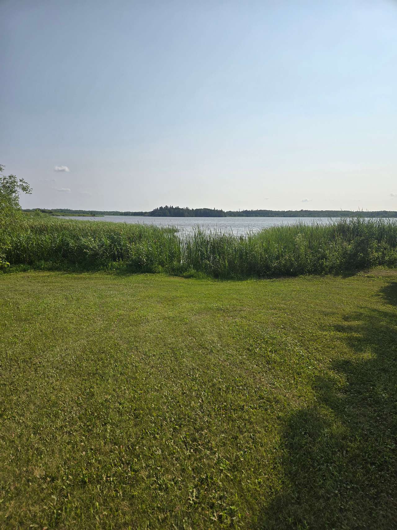 Boreal Forest River Retreat