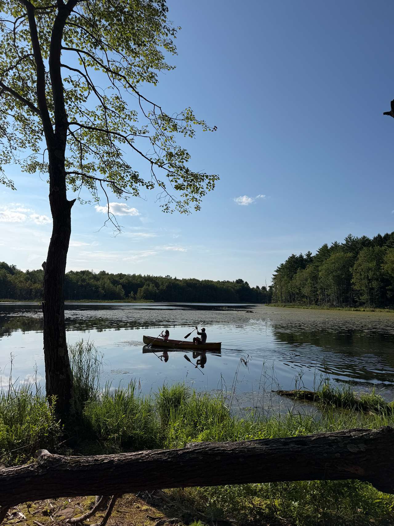 The Dam House At Beaver Pond