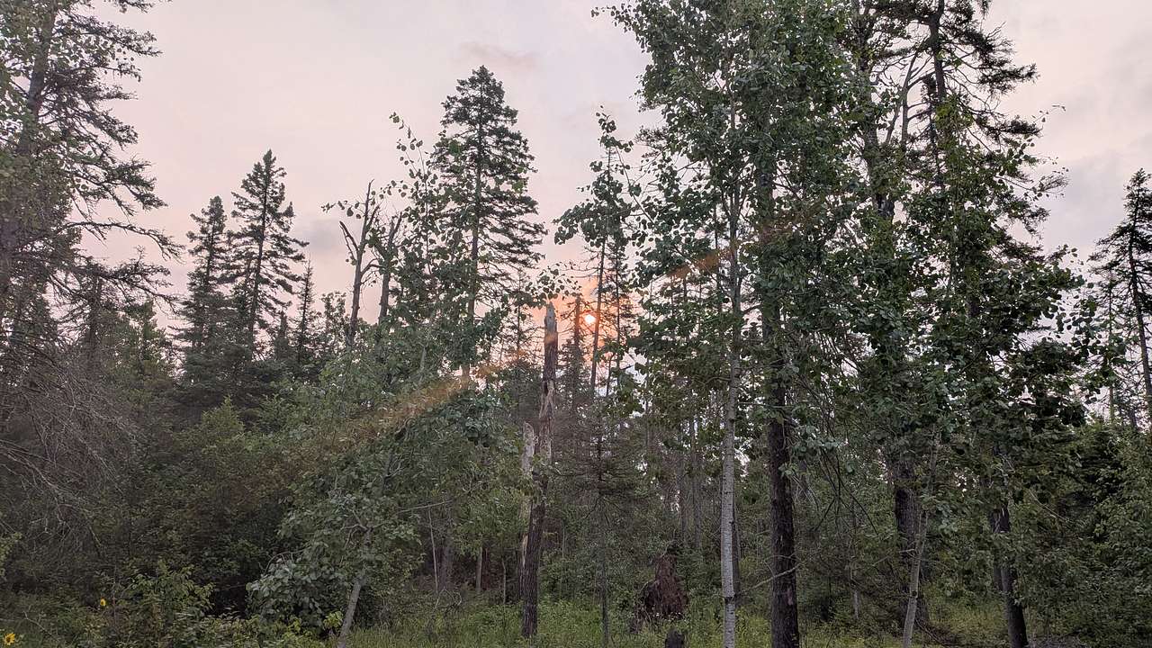 Off Grid Auroras