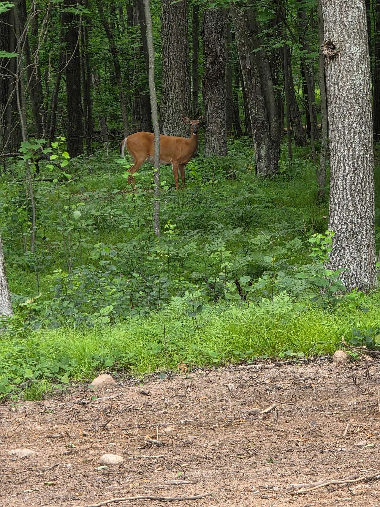 About 20ft behind our camper