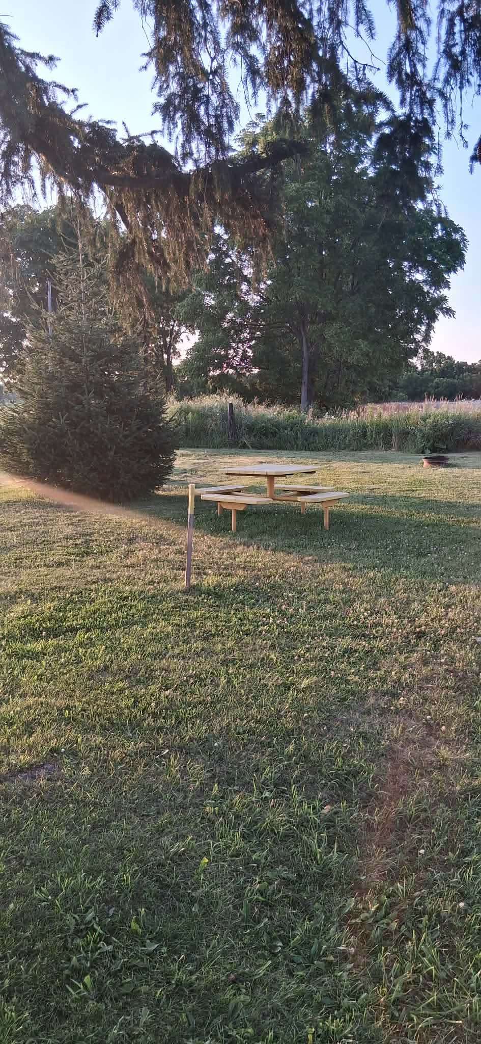 The Farm