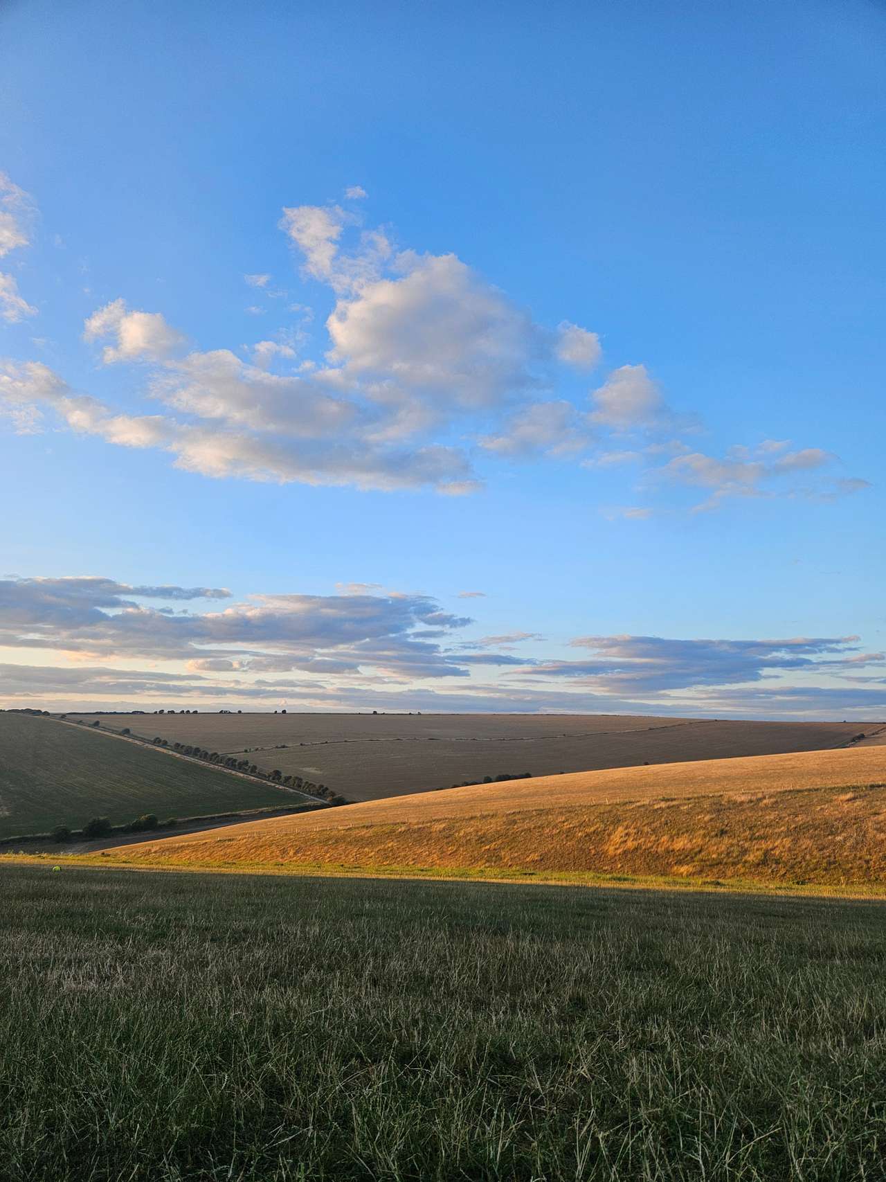 Chalky Downs