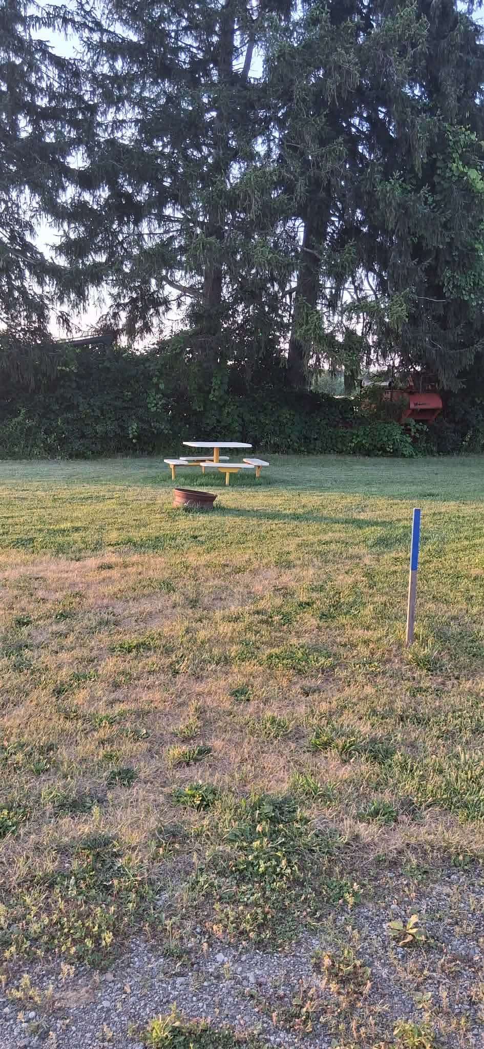 The Farm