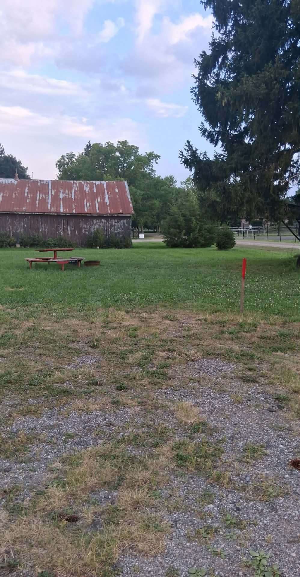 The Farm