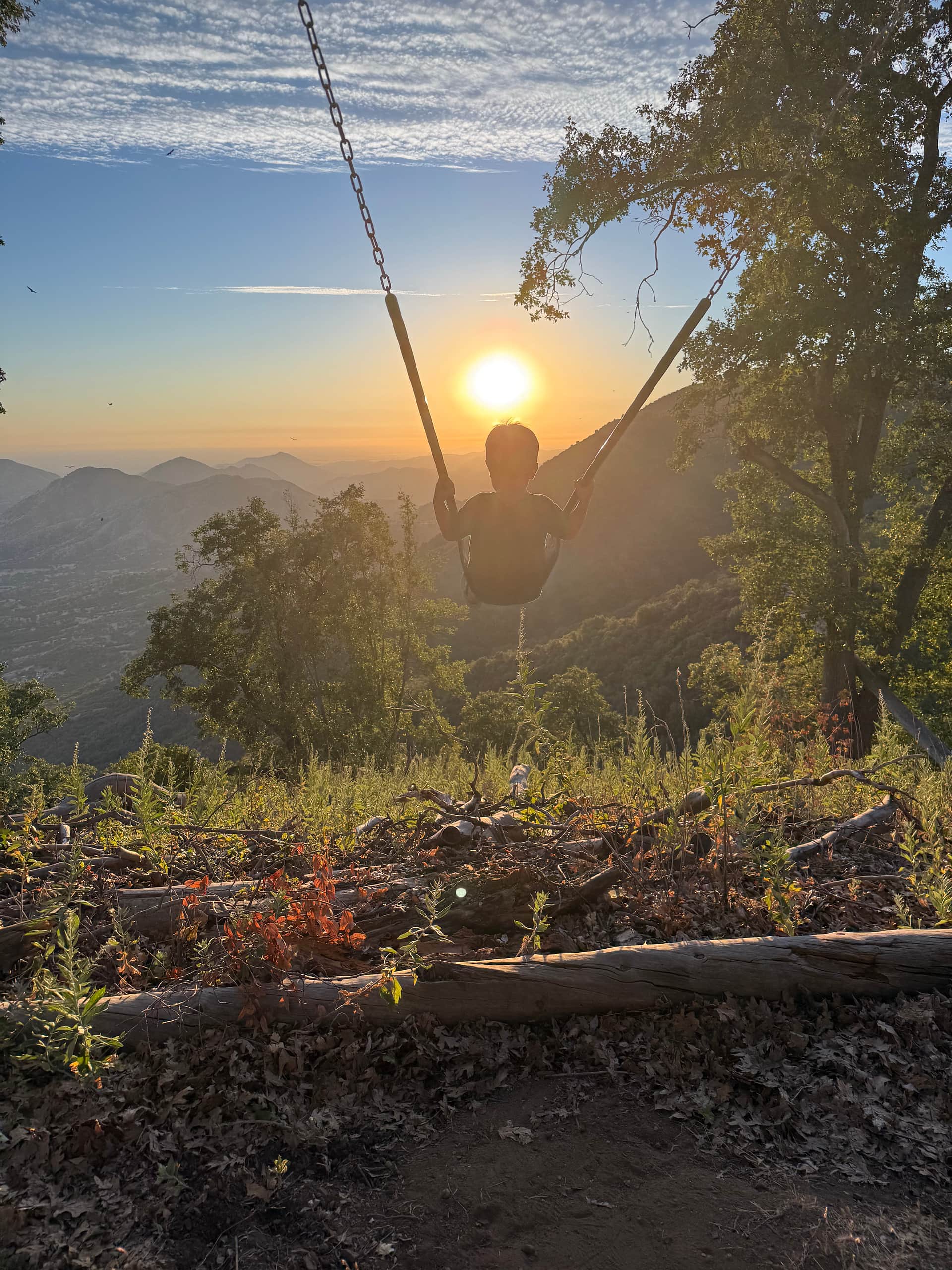 Sunset swing